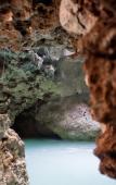Туры в отель Aldea Maya-Ha Cabanas con cenotes Туры в отель Aldea Maya-Ha Cabanas con cenotes