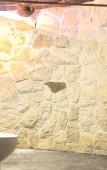 Туры в отель Aldea Maya-Ha Cabanas con cenotes Туры в отель Aldea Maya-Ha Cabanas con cenotes