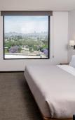Туры в отель Stadia Suites Queretaro Centro Historico Туры в отель Stadia Suites Queretaro Centro Historico