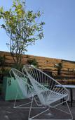 Туры в отель Hostal Casa MX Alameda - Hostel Туры в отель Hostal Casa MX Alameda - Hostel
