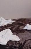 Туры в отель Hotel Patria Туры в отель Hotel Patria