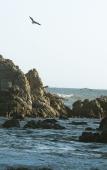 Туры в отель Hotel OM Huatulco Туры в отель Hotel OM Huatulco