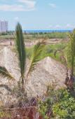Туры в отель Palm Valley Cabins Туры в отель Palm Valley Cabins