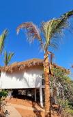 Туры в отель Palm Valley Cabins Туры в отель Palm Valley Cabins