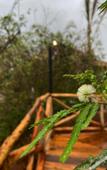 Туры в отель Palm Valley Cabins Туры в отель Palm Valley Cabins