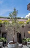 Туры в отель Casona 142 Hotel Boutique Orizaba Туры в отель Casona 142 Hotel Boutique Orizaba