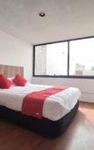 Туры в отель Hotel de Guadalupe Puebla Туры в отель Hotel de Guadalupe Puebla