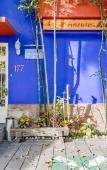 Туры в отель Casa Anzures Туры в отель Casa Anzures