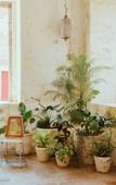 Туры в отель Hotel Hercules Туры в отель Hotel Hercules