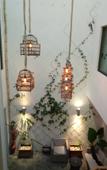 Туры в отель Hotel Casa Anzures Туры в отель Hotel Casa Anzures