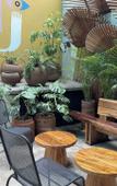 Туры в отель Hotel Ola Chapultepec Туры в отель Hotel Ola Chapultepec