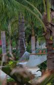 Туры в отель La Dulce Vista Hotel & Villas - Sierra Madre Puerto Vallarta Туры в отель La Dulce Vista Hotel & Villas - Sierra Madre Puerto Vallarta