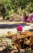 Туры в отель La Dulce Vista Hotel & Villas - Sierra Madre Puerto Vallarta Туры в отель La Dulce Vista Hotel & Villas - Sierra Madre Puerto Vallarta