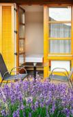Туры в отель Maximus Resort Туры в отель Maximus Resort