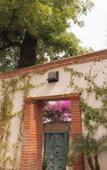 Туры в отель Orchid House Coyoacan Туры в отель Orchid House Coyoacan