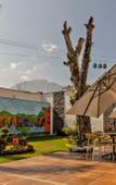 Туры в отель Hotel Boutique Tipico Туры в отель Hotel Boutique Tipico