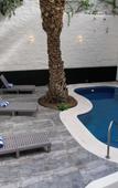 Туры в отель FCH Hotel Minerva-CAS Туры в отель FCH Hotel Minerva-CAS