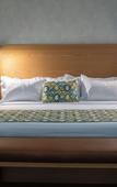Туры в отель FCH Hotel Minerva-CAS Туры в отель FCH Hotel Minerva-CAS