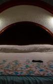 Туры в отель Motel Caribe Туры в отель Motel Caribe