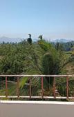 Туры в отель Hotel Costa Bugambilias Туры в отель Hotel Costa Bugambilias
