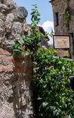 Туры в отель Villa Toscana ValQuirico Lofts & Suites Hotel Boutique Туры в отель Villa Toscana ValQuirico Lofts & Suites Hotel Boutique