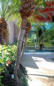 Туры в отель Vallarta Live Hotel Туры в отель Vallarta Live Hotel