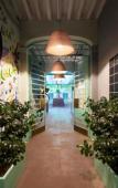 Туры в отель CASA MX alameda Туры в отель CASA MX alameda