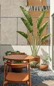 Туры в отель Cholula Condesa Hotel by Lumina Туры в отель Cholula Condesa Hotel by Lumina