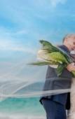 Туры в отель Majestic Mirage Costa Mujeres All Suites Resort Туры в отель Majestic Mirage Costa Mujeres All Suites Resort
