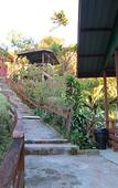 Туры в отель Mile 36 Lodge Туры в отель Mile 36 Lodge