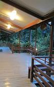 Туры в отель Mile 36 Lodge Туры в отель Mile 36 Lodge