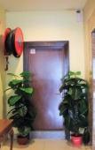 Туры в отель Sun Inns D'mind 3 Seri Kembangan Туры в отель Sun Inns D'mind 3 Seri Kembangan
