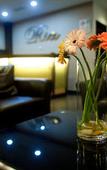 Туры в отель Hotel Ria Туры в отель Hotel Ria