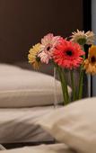 Туры в отель Hotel Ria Туры в отель Hotel Ria