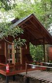 Туры в отель Borneo Natural Sukau Bilit Resort Туры в отель Borneo Natural Sukau Bilit Resort