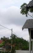 Туры в отель Bara Impiana Suitestay Туры в отель Bara Impiana Suitestay