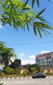 Туры в отель Palm City Villa Туры в отель Palm City Villa