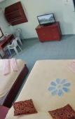 Туры в отель The Room Concept Homestay Туры в отель The Room Concept Homestay