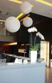 Туры в отель Vivo Hotel Туры в отель Vivo Hotel
