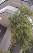 Туры в отель St Nomad M City Ampang, KLCC Туры в отель St Nomad M City Ampang, KLCC