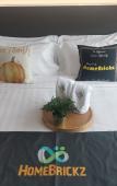 Туры в отель Cubic Botanical Suites HomeBrickz Туры в отель Cubic Botanical Suites HomeBrickz