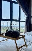 Туры в отель Hush Inn @ K Avenue Kota Kinabalu Туры в отель Hush Inn @ K Avenue Kota Kinabalu