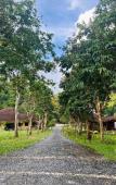 Туры в отель Lilla Hilltop Retreat @ Janda Baik Туры в отель Lilla Hilltop Retreat @ Janda Baik