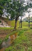 Туры в отель Lilla Hilltop Retreat @ Janda Baik Туры в отель Lilla Hilltop Retreat @ Janda Baik