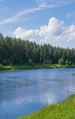 Туры в отель Тихий Лес Туры в отель Тихий Лес
