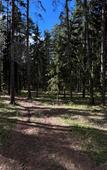 Туры в отель Тихий Лес Туры в отель Тихий Лес
