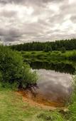 Туры в отель Тихий Лес Туры в отель Тихий Лес
