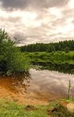 Туры в отель Тихий Лес Туры в отель Тихий Лес