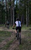 Туры в отель Тихий Лес Туры в отель Тихий Лес