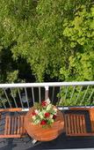 Туры в отель Alp Hotel Amsterdam Туры в отель Alp Hotel Amsterdam